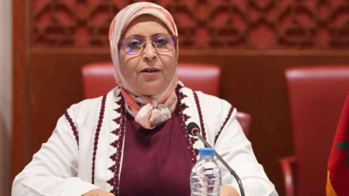 البرلمانية الفتحاوي تسائل وزير العدل حول تجريم العنف الرقمي وحماية النساء من التحرش الإلكتروني